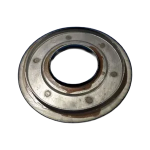 SEAL LATERAL  (T-1200 NG)